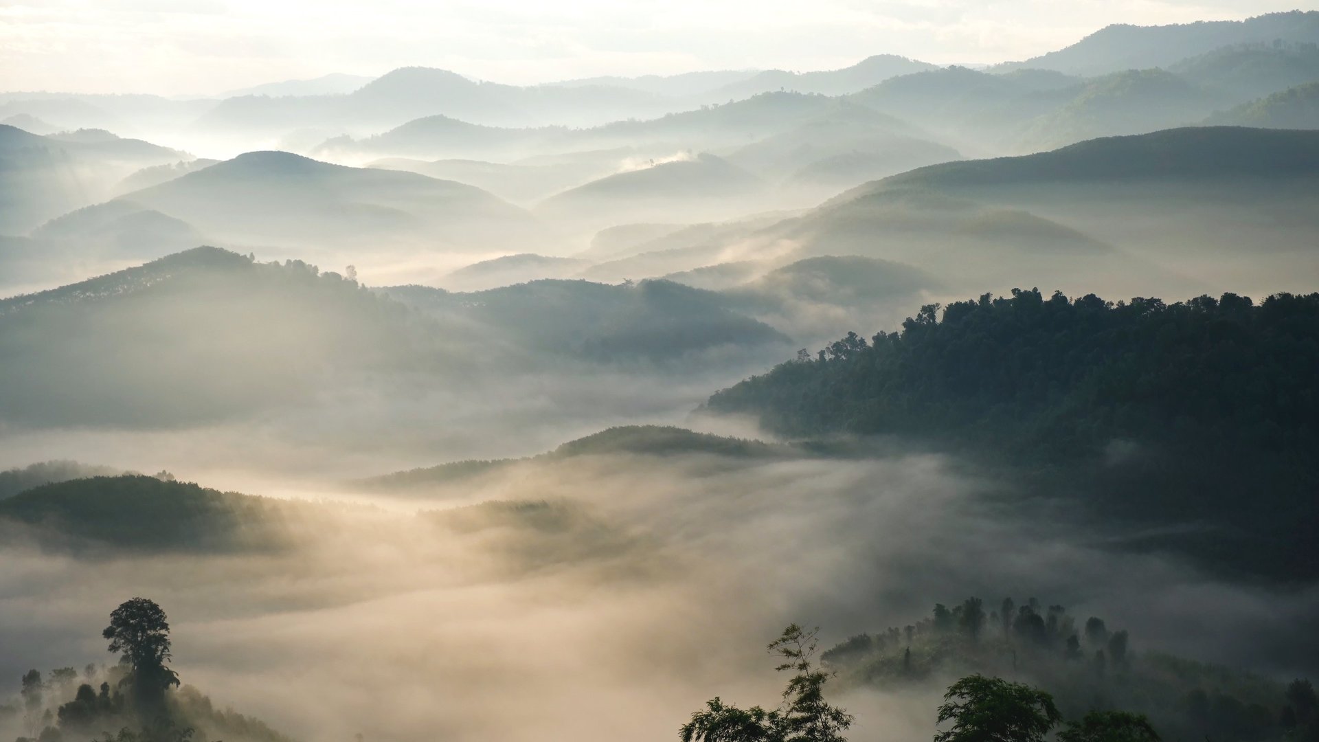 Mountain landscape with mist and green hills