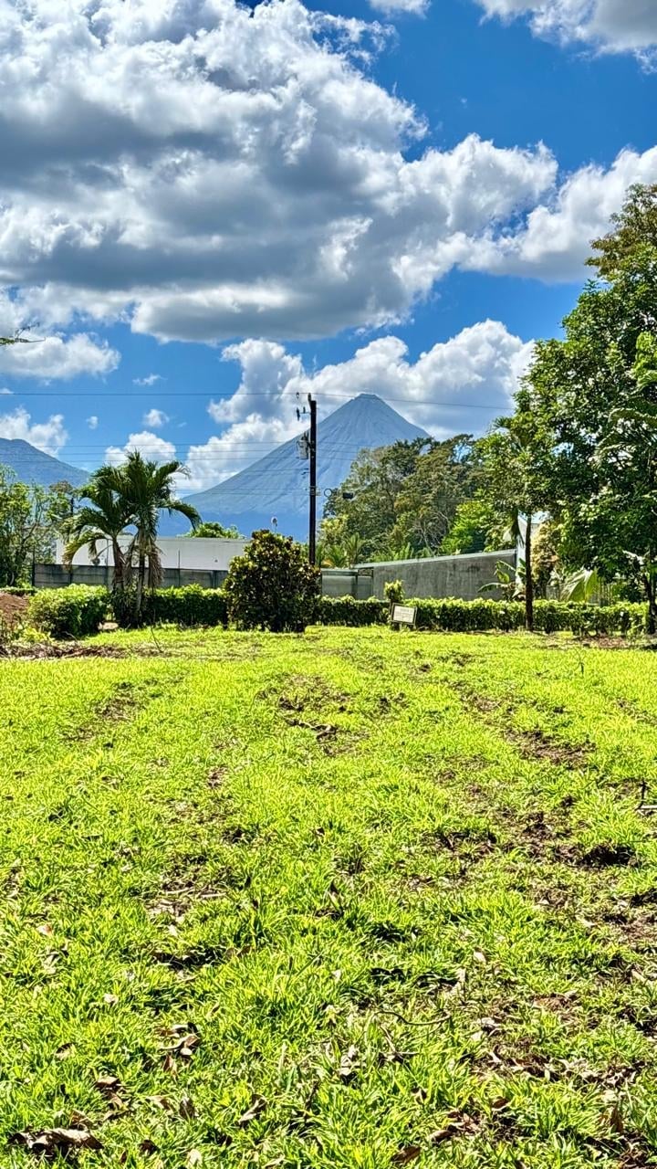 Green field with palm trees, volcano in background, blue sky with white clouds, and white building with fence