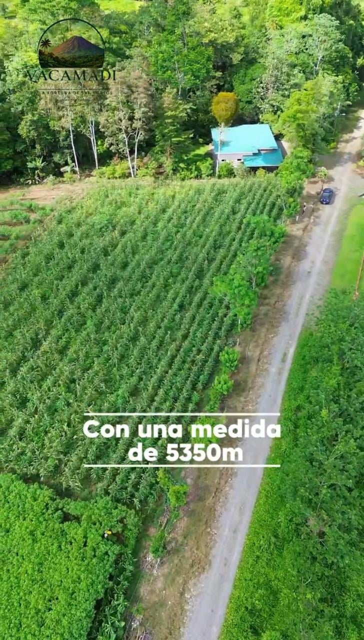 Aerial view of rural property with blue house, cornfield, and tree-lined road measuring 5350 meters, Acamadi branding visible