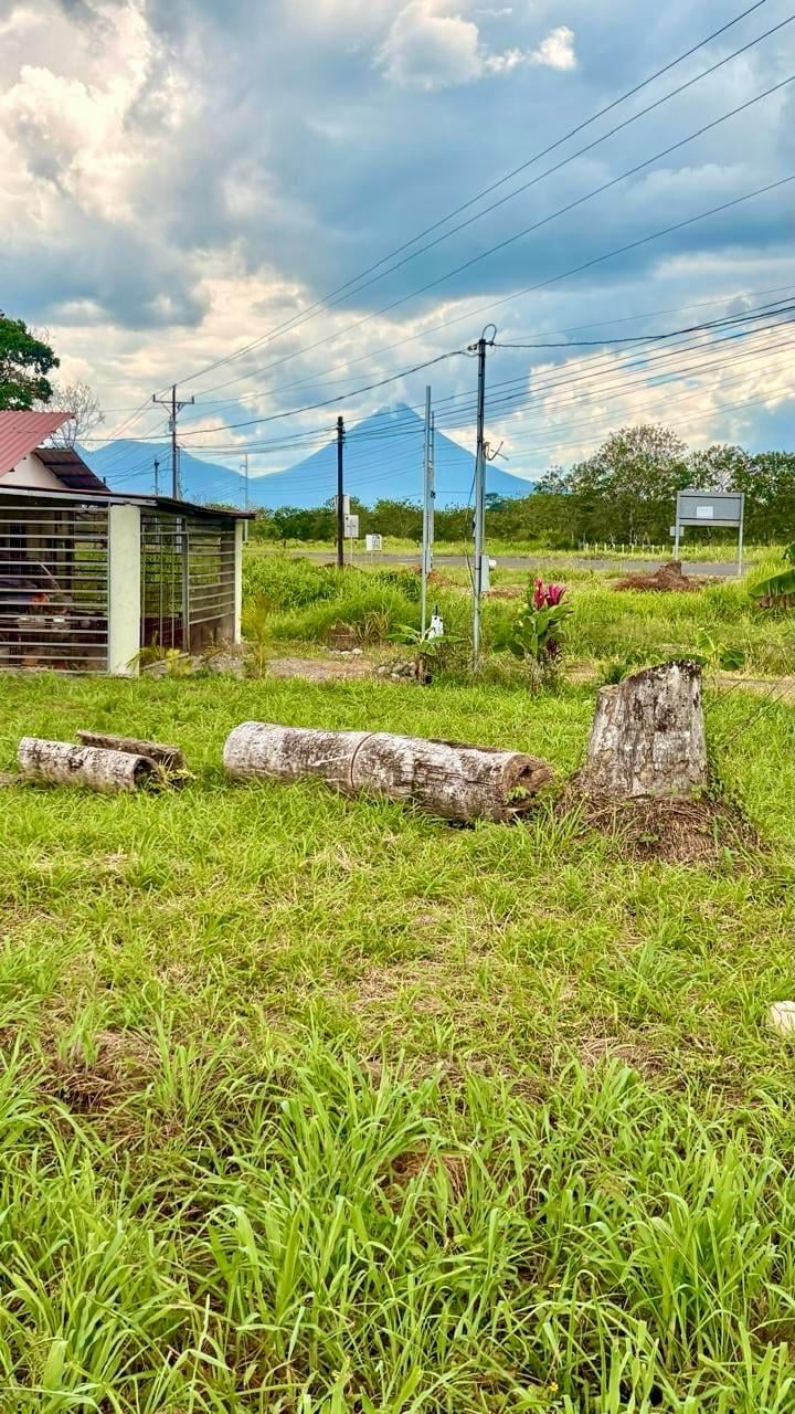 Rural landscape with felled tree logs, wooden structures, power lines, and mountains under cloudy sky