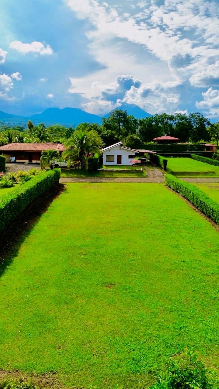 Lush green farmland with white and brown houses, palm trees, and mountains under blue sky with white clouds