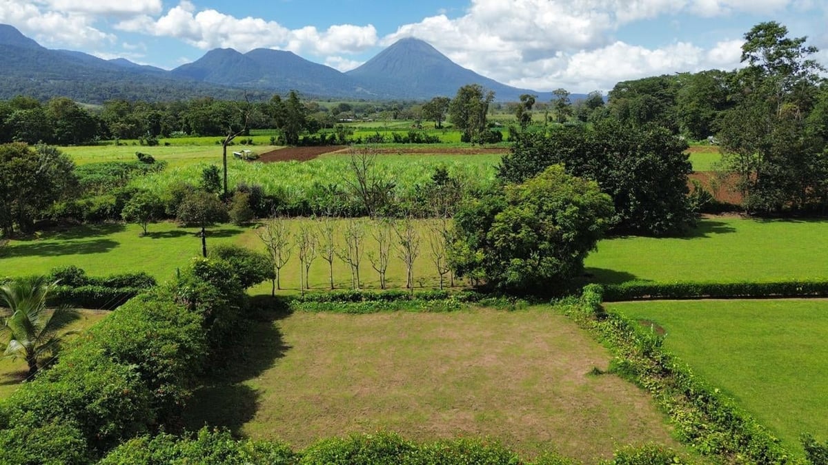 Lush green rice paddies and agricultural fields with mountains in the background under blue sky with white clouds